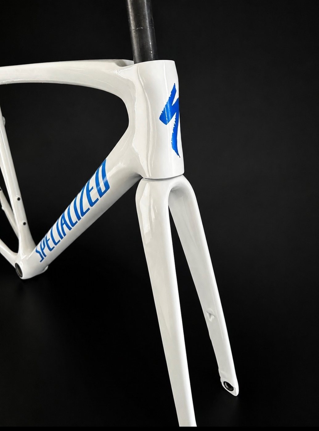 Avant d'un cadre Specialized blanc brillant, logos bleus